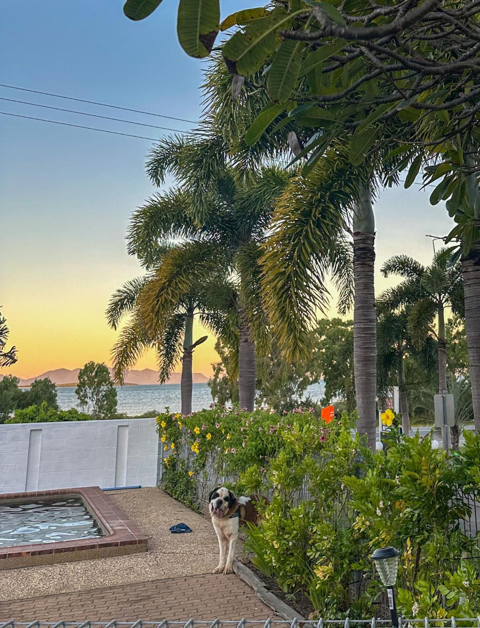 Ocean View Motel Боуэн Экстерьер фото